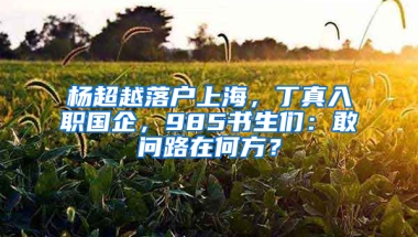 杨超越落户上海，丁真入职国企，985书生们：敢问路在何方？