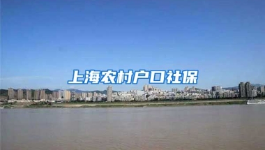 上海农村户口社保