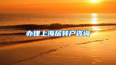 办理上海居转户咨询