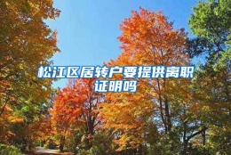 松江区居转户要提供离职证明吗