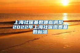 上海社保基数哪些调整 2022年上海社保缴费基数标准