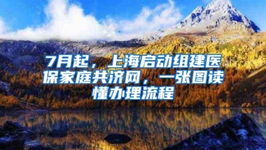 7月起，上海启动组建医保家庭共济网，一张图读懂办理流程