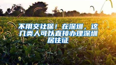 不用交社保！在深圳，这几类人可以直接办理深圳居住证