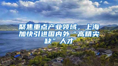 聚焦重点产业领域，上海加快引进国内外“高精尖缺”人才