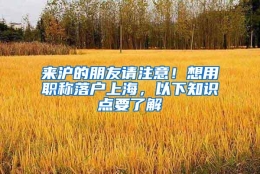 来沪的朋友请注意！想用职称落户上海，以下知识点要了解