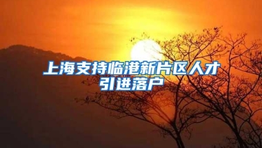 上海支持临港新片区人才引进落户