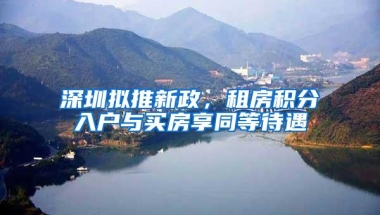 深圳拟推新政，租房积分入户与买房享同等待遇