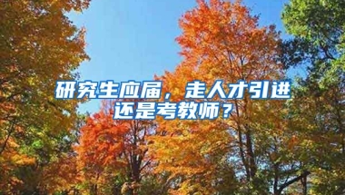 研究生应届，走人才引进还是考教师？