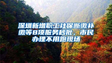 深圳新增职工社保断缴补缴等8项服务秒批，市民办理不用跑现场