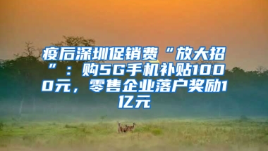 疫后深圳促销费“放大招”：购5G手机补贴1000元，零售企业落户奖励1亿元