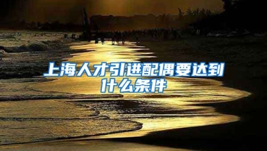 上海人才引进配偶要达到什么条件