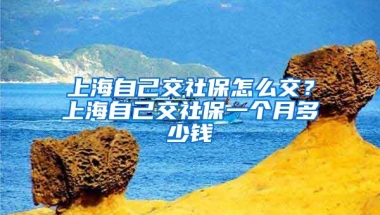 上海自己交社保怎么交？上海自己交社保一个月多少钱