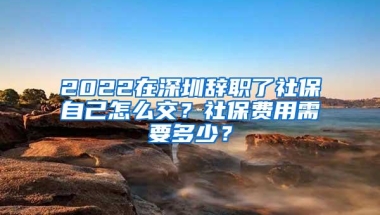 2022在深圳辞职了社保自己怎么交？社保费用需要多少？