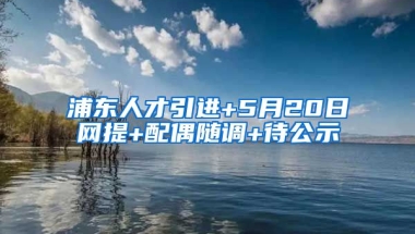 浦东人才引进+5月20日网提+配偶随调+待公示