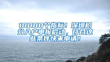 10000个指标！深圳积分入户申报启动，符合这些条件快来申请！