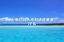 上海户口人才引进政策是什么