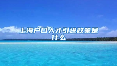 上海户口人才引进政策是什么