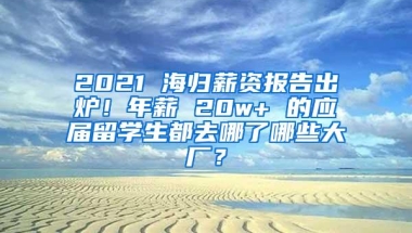 2021 海归薪资报告出炉！年薪 20w+ 的应届留学生都去哪了哪些大厂？