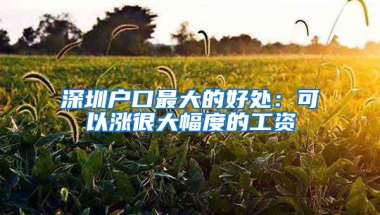 深圳户口最大的好处：可以涨很大幅度的工资