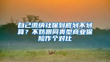 自己缴纳社保到底划不划算？不妨跟同类型商业保险作个对比