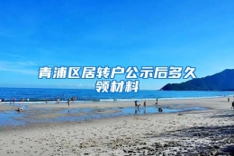 青浦区居转户公示后多久领材料