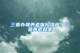 三亚办理养老保险流程，三亚养老政策