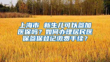 上海市 新生儿可以参加医保吗？如何办理居民医保参保登记缴费手续？