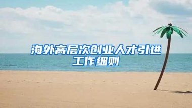 海外高层次创业人才引进工作细则