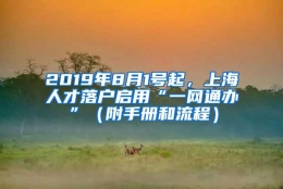 2019年8月1号起，上海人才落户启用“一网通办”（附手册和流程）