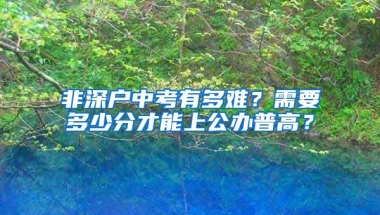 非深户中考有多难？需要多少分才能上公办普高？