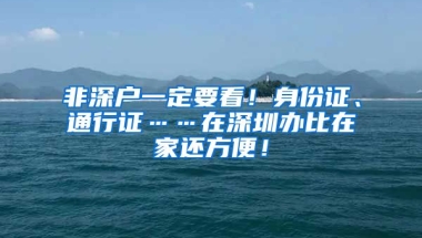 非深户一定要看！身份证、通行证……在深圳办比在家还方便！