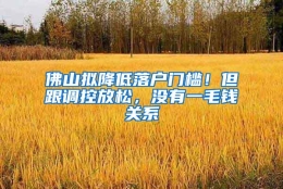 佛山拟降低落户门槛！但跟调控放松，没有一毛钱关系