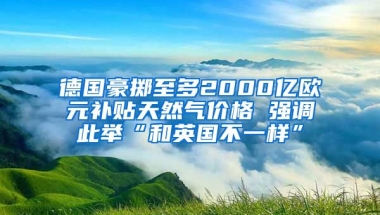 德国豪掷至多2000亿欧元补贴天然气价格 强调此举“和英国不一样”