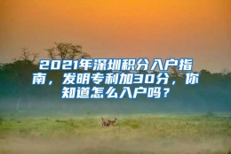 2021年深圳积分入户指南，发明专利加30分，你知道怎么入户吗？