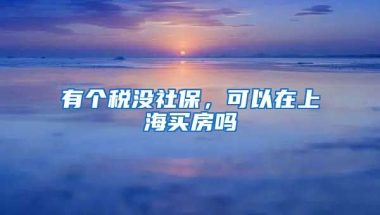 有个税没社保，可以在上海买房吗