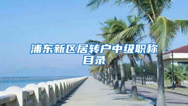 浦东新区居转户中级职称目录