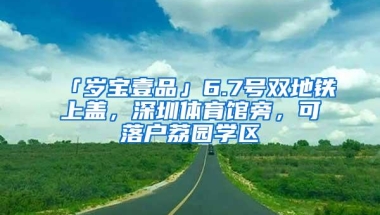 「岁宝壹品」6.7号双地铁上盖，深圳体育馆旁，可落户荔园学区