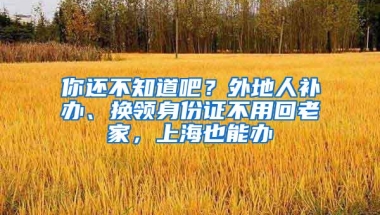 你还不知道吧？外地人补办、换领身份证不用回老家，上海也能办