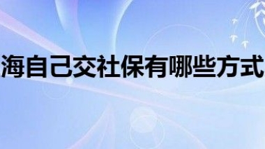 上海自己交社保有哪些方式