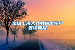 宝山上海人才引进居转户咨询流程