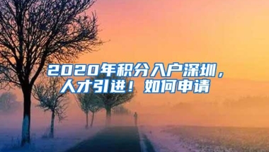 2020年积分入户深圳，人才引进！如何申请