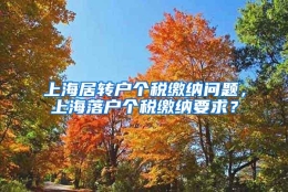 上海居转户个税缴纳问题，上海落户个税缴纳要求？