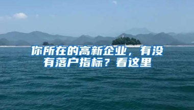 你所在的高新企业，有没有落户指标？看这里