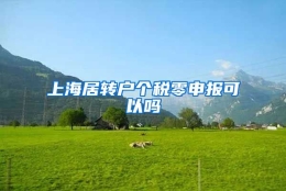 上海居转户个税零申报可以吗