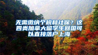 无需缴纳个税和社保？这四类加拿大留学生回国可以直接落户上海