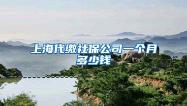 上海代缴社保公司一个月多少钱