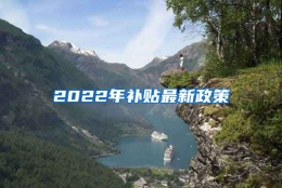 2022年补贴最新政策