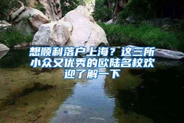 想顺利落户上海？这三所小众又优秀的欧陆名校欢迎了解一下