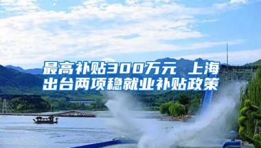 最高补贴300万元 上海出台两项稳就业补贴政策