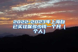 2022-2023年上海自已买社保多少钱一个月（个人）